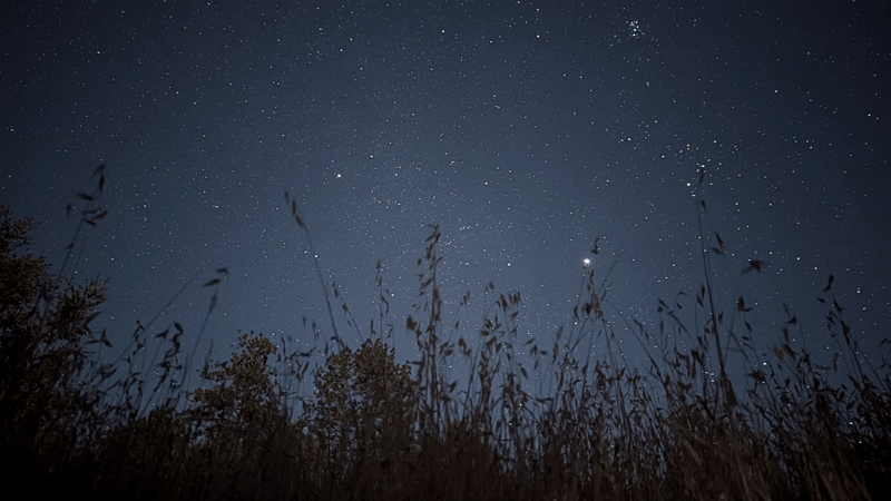 Animation of night sky in Silver Peak Wilderness